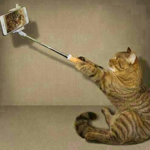 Fanmpadra40's tweet photo. @Thando_wet good morning beautiful https://t.co/uhcZ5rKODS