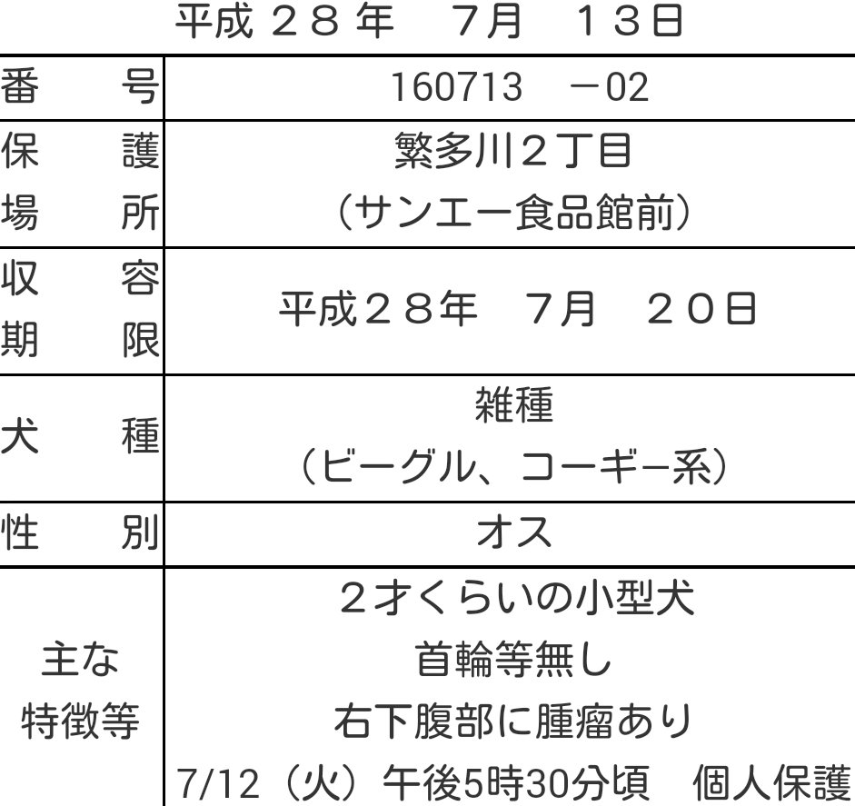 mumuma_fa's tweet photo. 【那覇市収容犬】7/13収容❀期限7/20 #ビーグル #コーギー 系雑種♂2歳位･首輪なし･右下腹部腫瘤有。飼い主さん至急お迎え🙏 https://t.co/MILP1syH68 #沖縄 #那覇市 #犬 #迷子 #迷い犬 #繁多川 https://t.co/aFYMFZXUkk