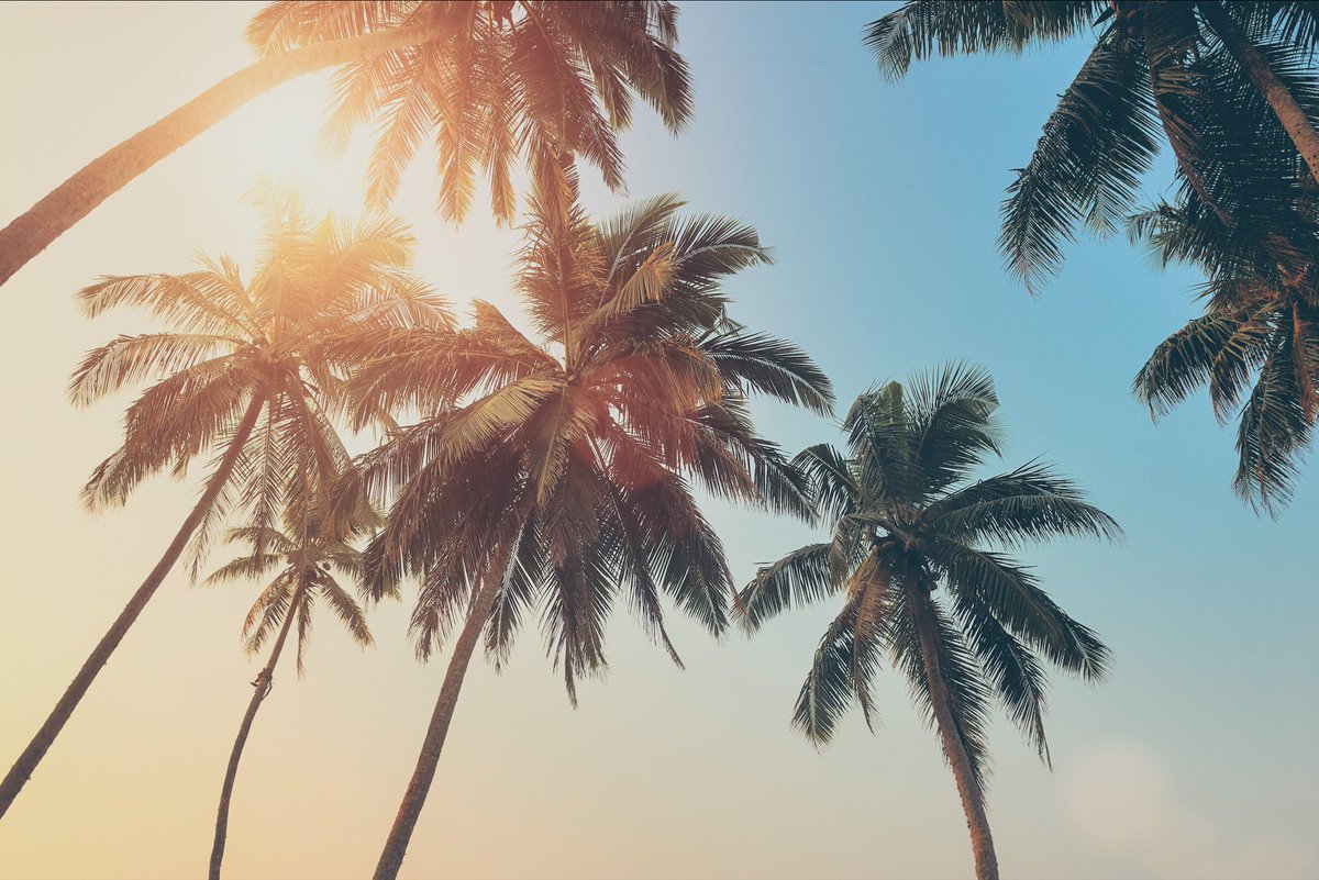 Le pont de juillet passera mieux avec PayFit 🌉☀ #vacances #14juillet
buff.ly/29DV2F9