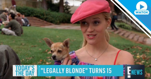OMG, you guys—Legally Blonde turns 15 today!💗👸🏼  eonli.ne/29Nx8rN #LegallyBlonde15 #ThinkPink