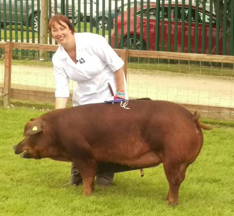 MeatyAndrew's tweet photo. Very happy @devajanw Reserve Champion Pig of the Year @greatyorkshow #devadurocs https://t.co/L432Gm7O1F