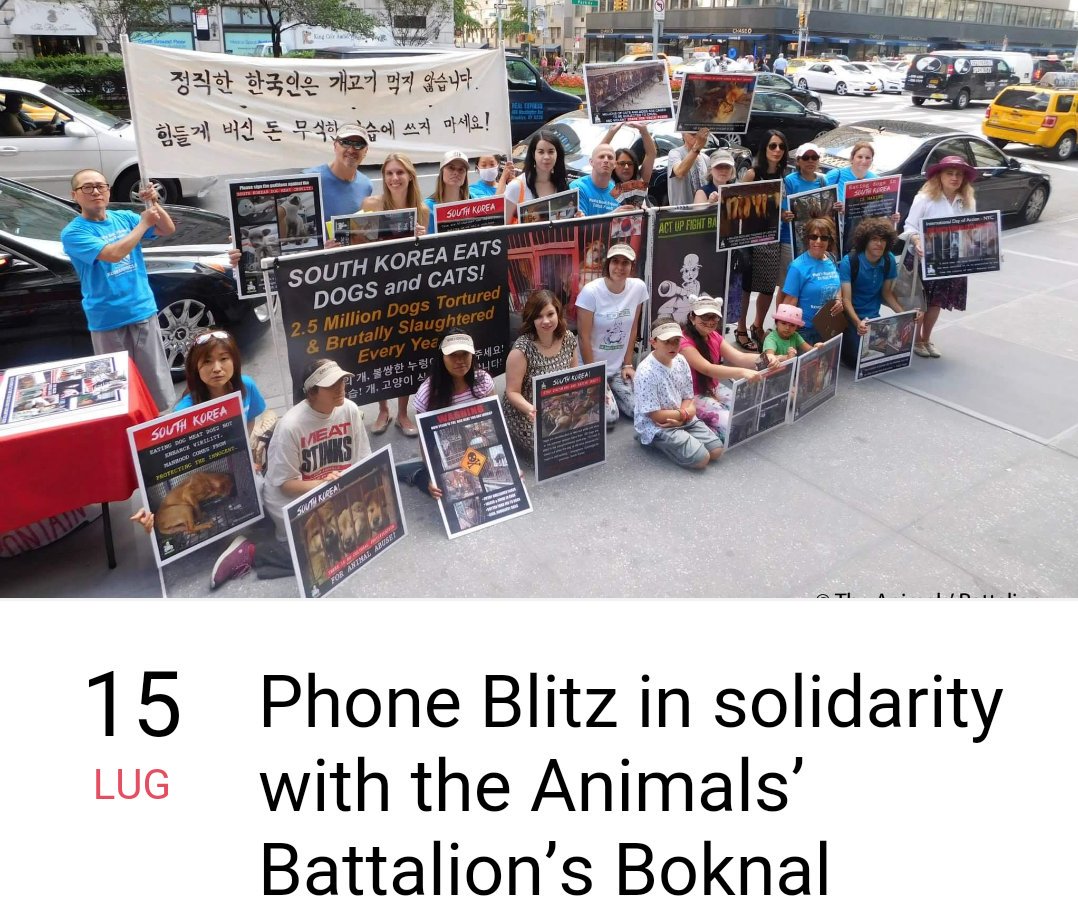 bethlaurenze's tweet photo. @moonriver365🔊Protest #StopBoknal2016 #SouthKorea🔊July 15 #NewYork🔊Korean Consulate🔊https://t.co/AHu9oWAzAS https://t.co/or7kl8z2Sr