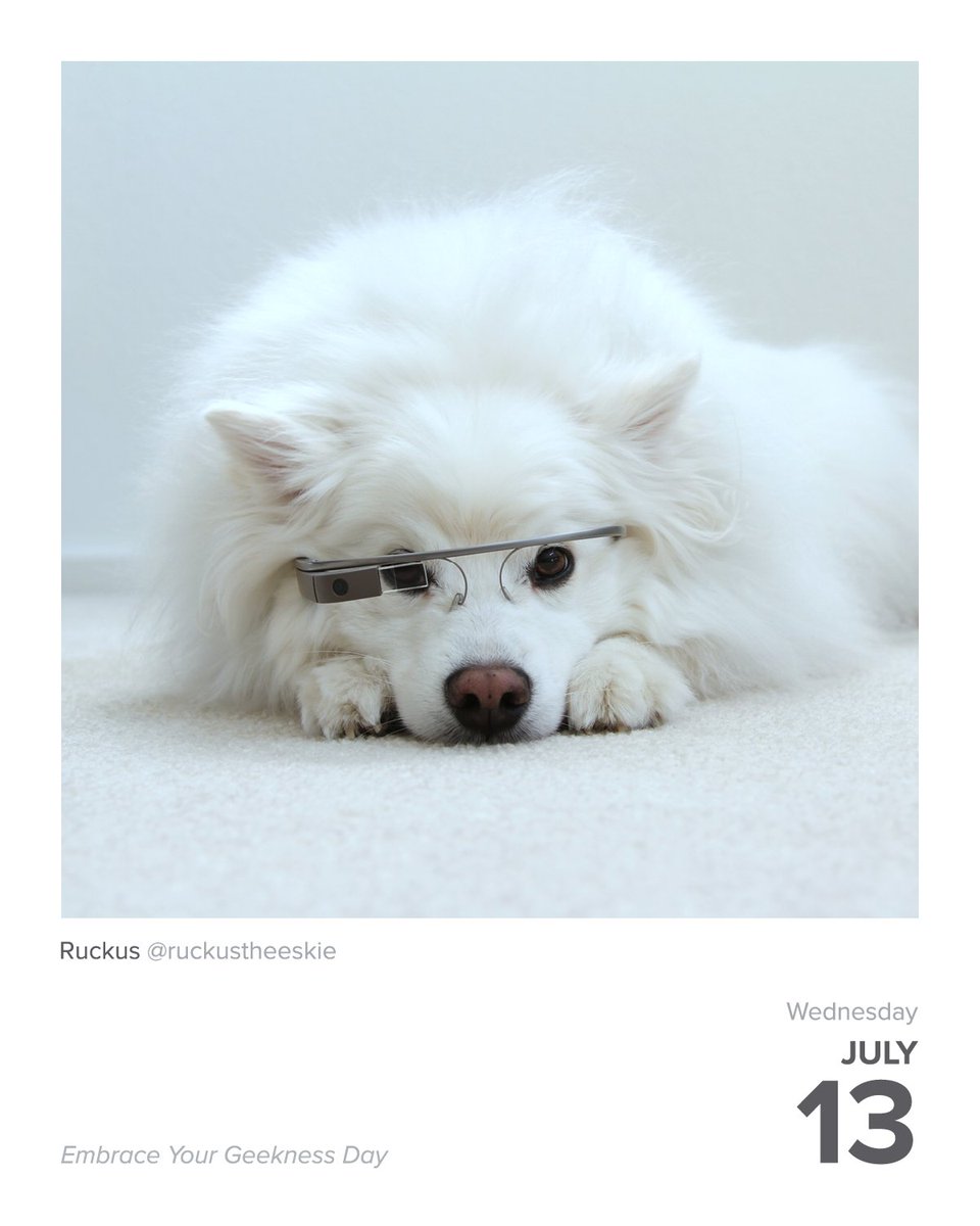 instagram's tweet photo. #DailyFluff
https://t.co/RXypVEj3ba 🐾 https://t.co/tfz8FYojHi