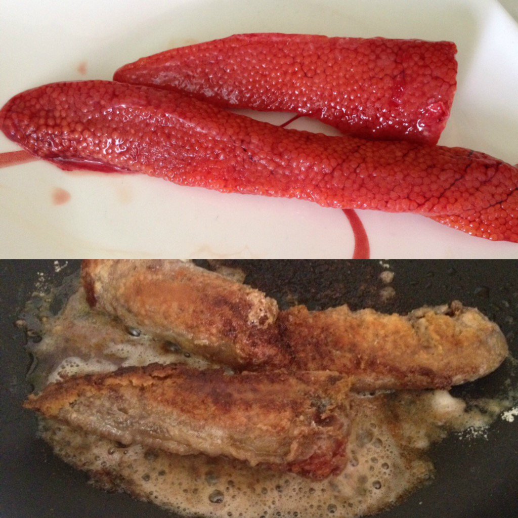 saunderscrane's tweet photo. #salmon #spawns #yum https://t.co/DOcV7cnAr1