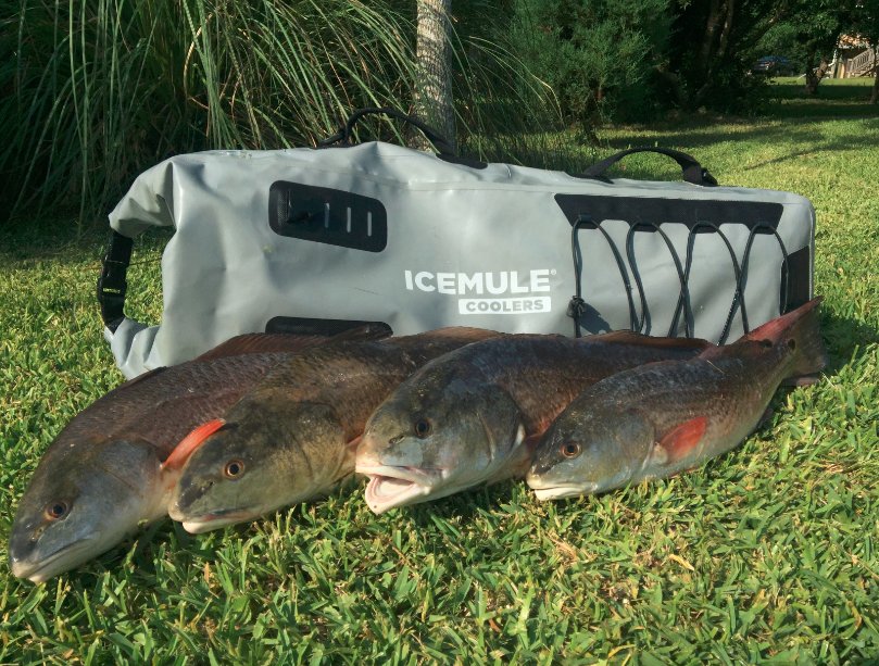 They say 3's a crowd...but with our Pro Catch, there's room for more. #icemulecoolers #adventurecooler <a href="/BrettBarley/">Brett Barley</a>