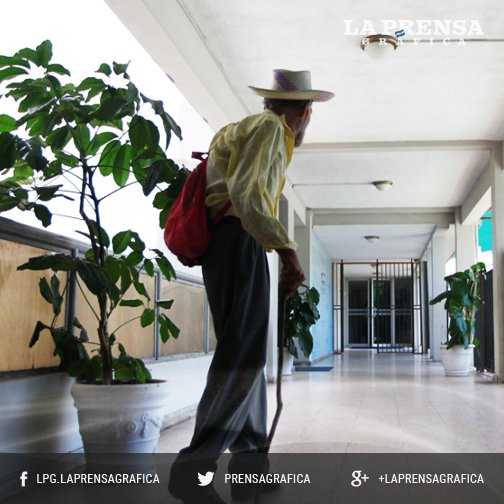 La Prensa Gráfica tweet media