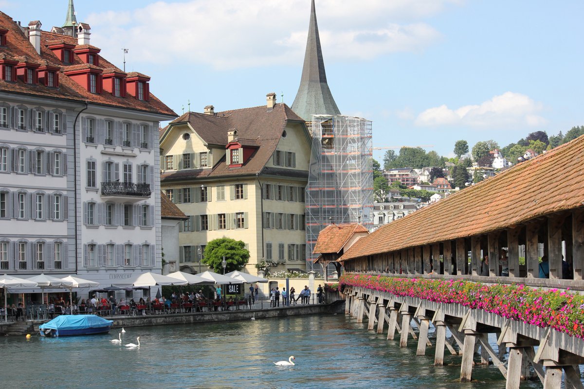 vyasad's tweet photo. Lake #Lucerne, #Chappelbridge,the ducks @MySwitzerland_e @LakeLucerne #inlovewithswitzerland @I_love_Lucerne https://t.co/xl0IfSBSUg
