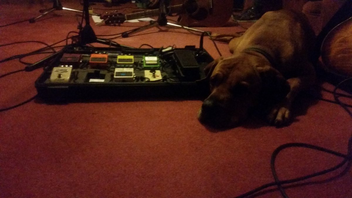 Search4Donkeys's tweet photo. #guarddog #pedalboard #protection #bestroady @invernessGiG @imoutrecords @SnoopDogg #Dexter #woofwoofwednesday https://t.co/TUEmbG0Byu