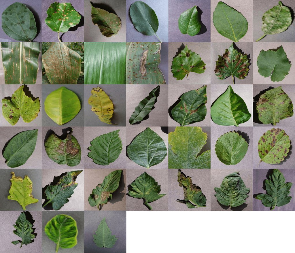 USDA's tweet photo. Digital Plant Diagnosis: Turning a mobile app into an agricultural game-changer https://t.co/BBQlIqHQ8F https://t.co/WBJFJ1zWY6