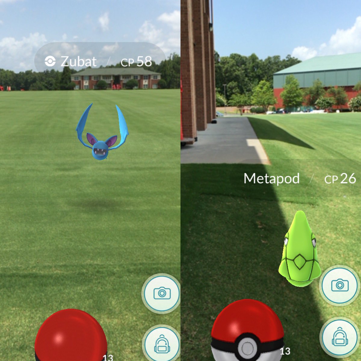 AtlantaFalcons's tweet photo. There have been sightings of creatures around the Branch. We're hoping fans will capture them during Training Camp! https://t.co/EnVrWD6hc1