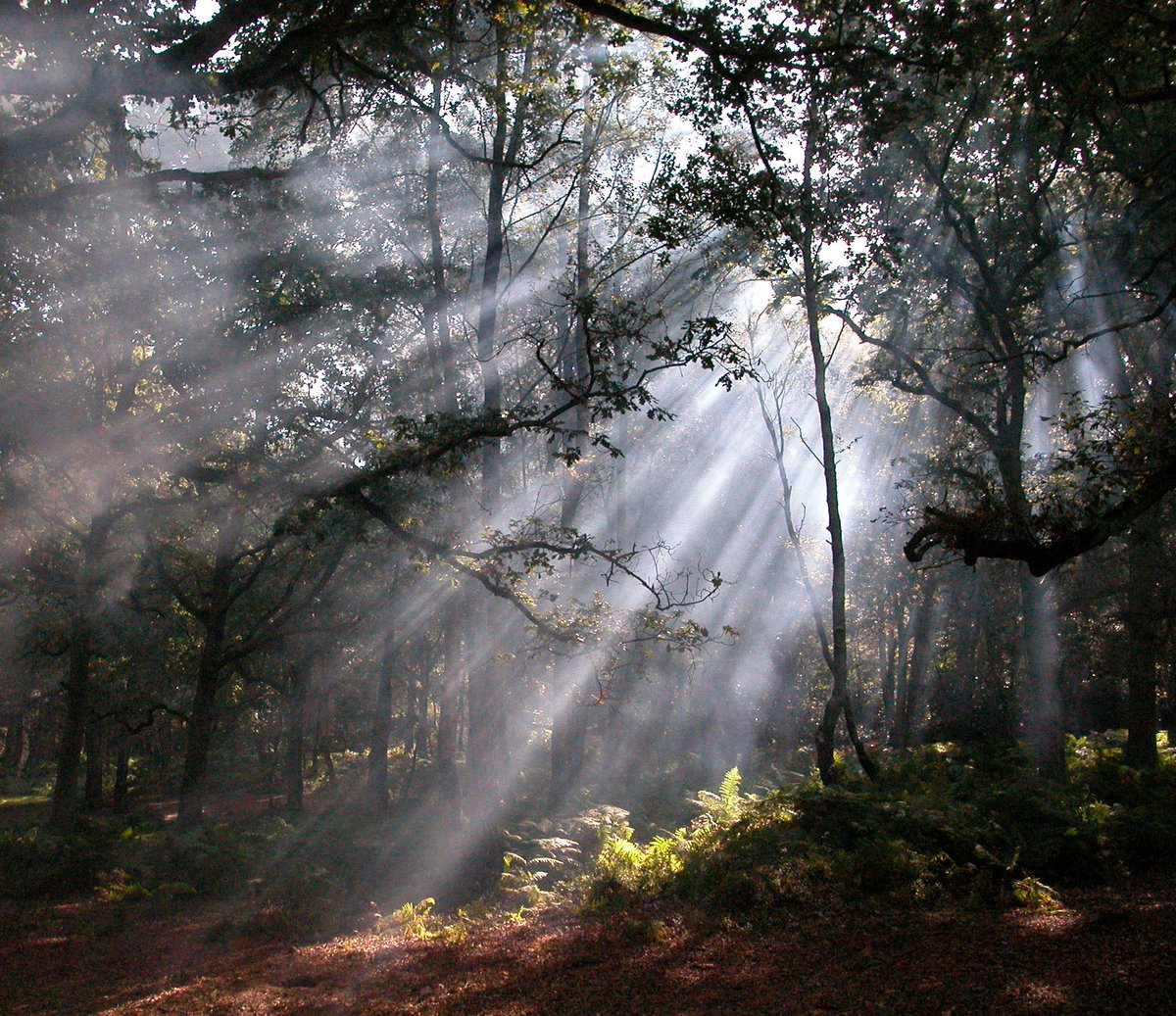 Uncomfortable Sleeping Arrangements | The Secret Life of Brothers and Sisters - youtube.com/watch?v=6jg7xp…