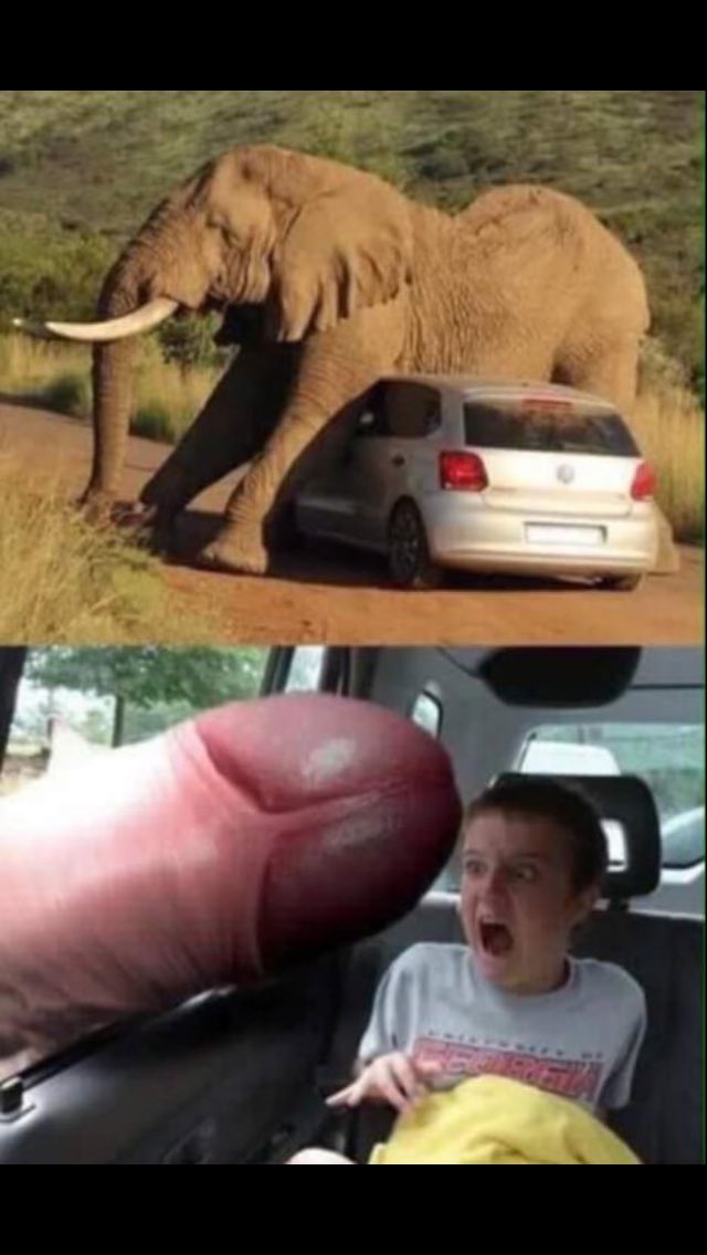 ImagineiS's tweet image. 