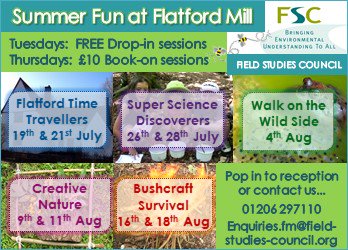 FSCFlatfordMill's tweet photo. Drop in to Flatford Mill tomorrow 1-4pm and travel back in time with our tutors #SummerFun #Free #365dayswild https://t.co/BGNMjU02Lo