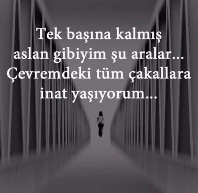 Tüm çakallara inat, yaşayalım!