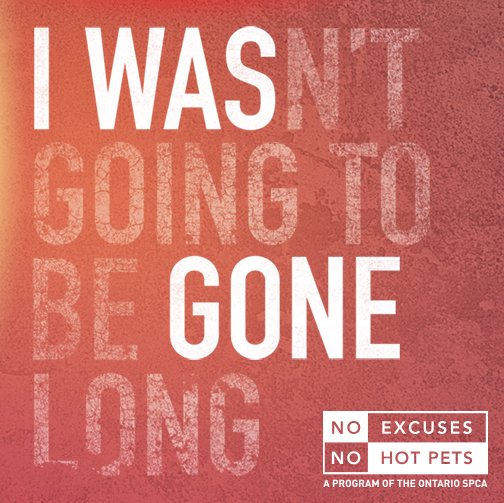 It's going to be another SCORCHER today. Protect your pets - There's NO EXCUSE. Pledge: nohotpets.ca #NoHotPets ☀️