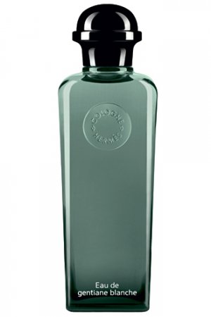 blanche fragrantica