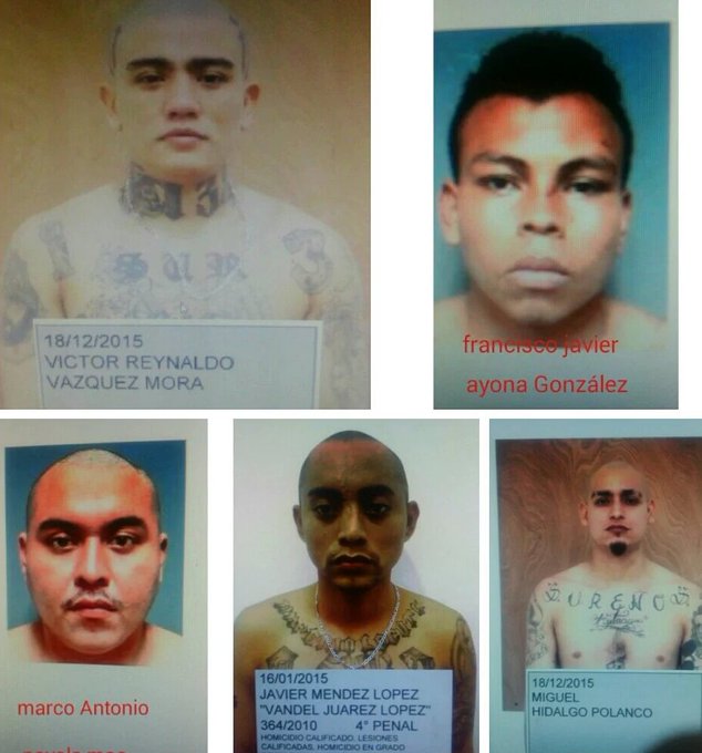las autoridades investigan al director por fuga de 10 reos de carcel de Cancún CnQRjuEUsAA5fK9