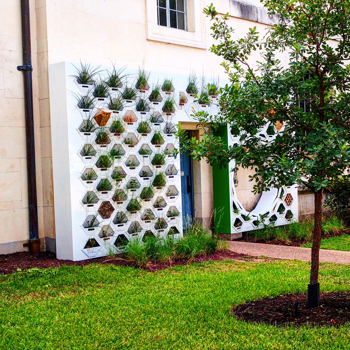karlisuuu's tweet photo. look around, look around at how lucky we are to be alive right now 🌱
#livewall #utarchitecture #UTOrientation https://t.co/bDLJ2Mokvj