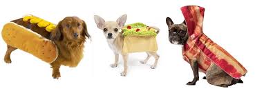 Here's some cute pups in food apparel to go along with National French Fry Day! #dogs #food #frenchfryday #fries