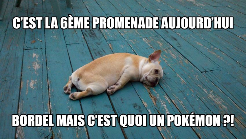 Le phénomène #PokemonGO en une image ! Vous y jouez ?