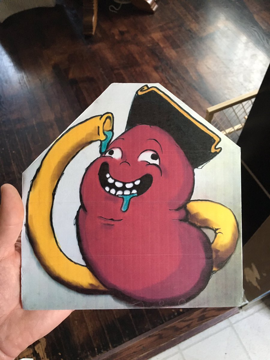 AdamCordonnier's tweet photo. #flatkidney @FlatKidney is ready for their next trip! Do kidneys have gender?@HeyScoops https://t.co/lqH1p8nOyW