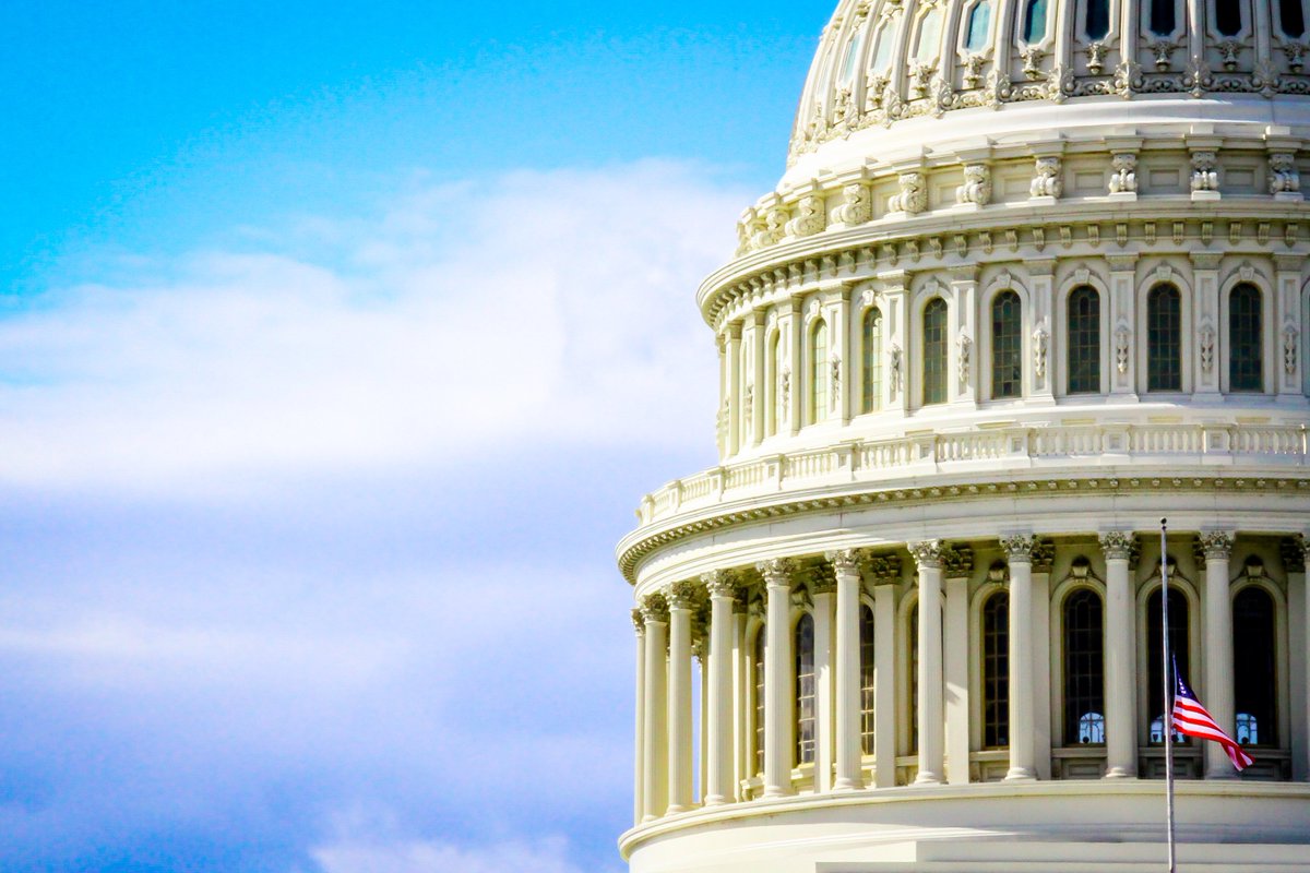 MichelleonBell tweet media