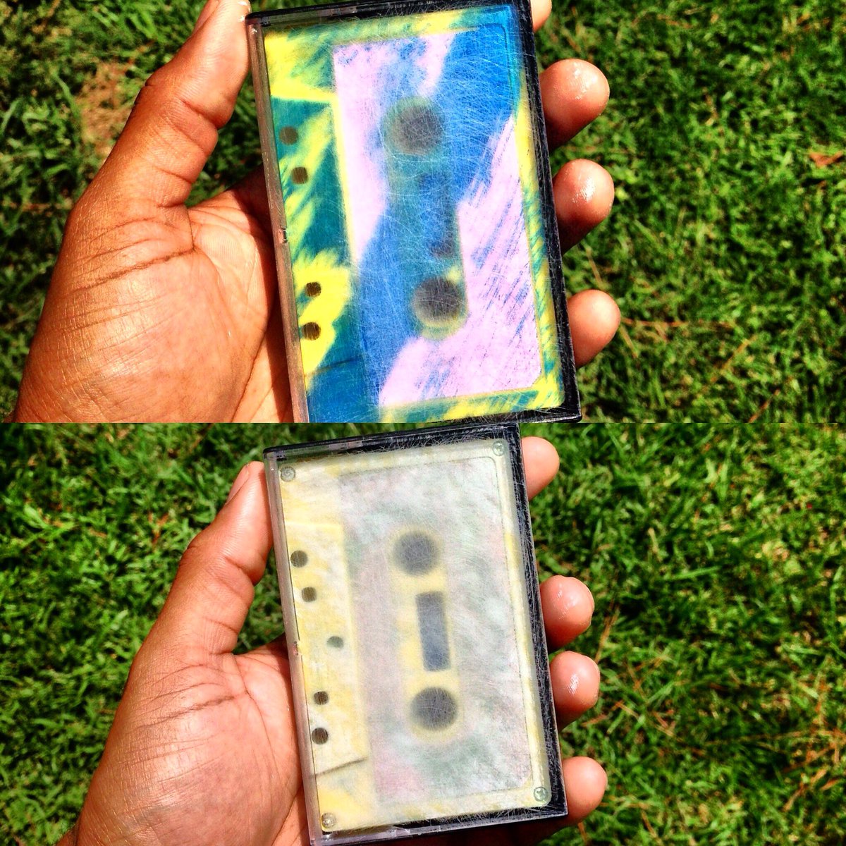 Robber-Fly tweet media