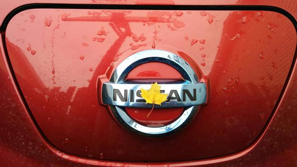 NissanElectric's tweet photo. The #LEAF on a LEAF. 📷: François V. https://t.co/WHufPawyrX
