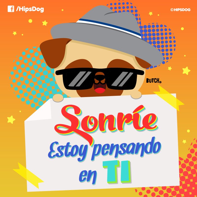 Hipsdog's tweet photo. Sonríe, estoy pensando en ti, Yeah! :) #HipsDog #Butch #EstoyPensandoEnTi #Sonrie #miercoles https://t.co/xkd7ybP6ln