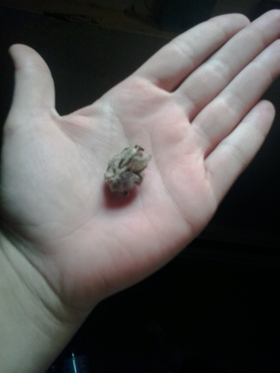 HannahRoyal6's tweet image. #lovelife