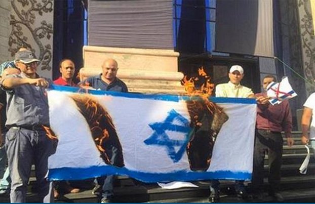 حرق العلم الإسرائيلي في وقفة على سلالم نقابة الصحفيين للتنديد بزيارة شكري 