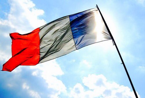 Blessés ArméedeTerre tweet media