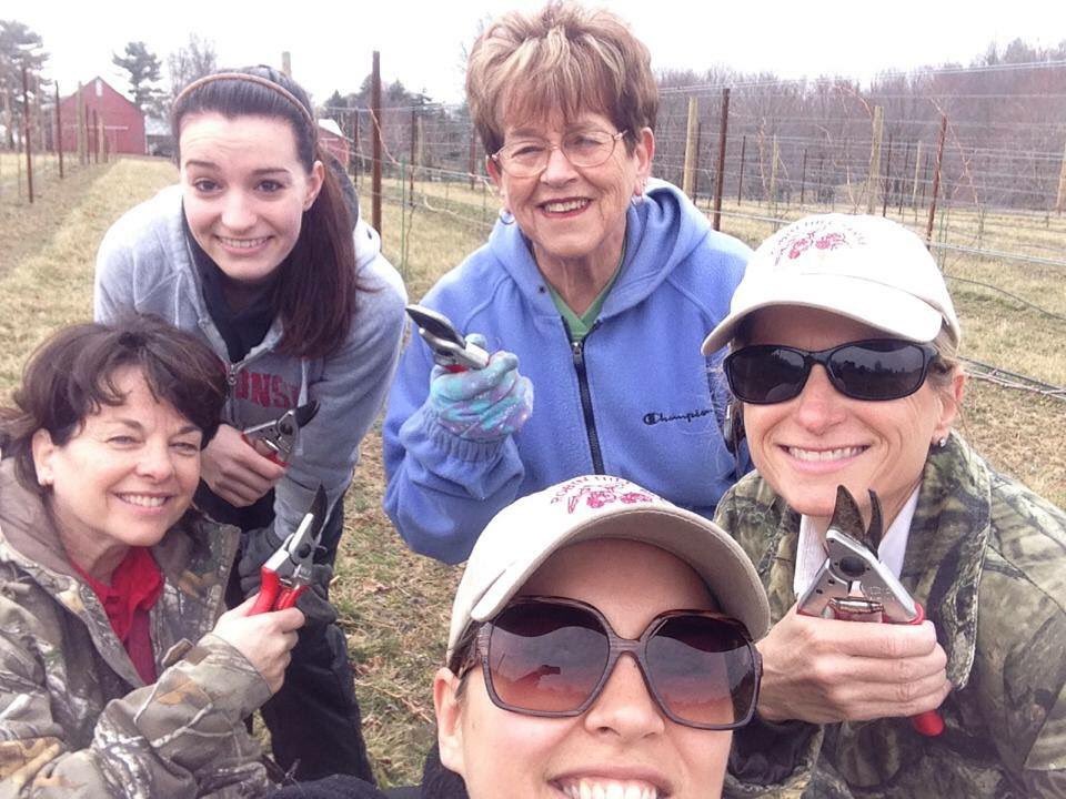 Please vote for our family farm in the Syngenta #RootedInAg photo contest! bit.ly/29EH98J