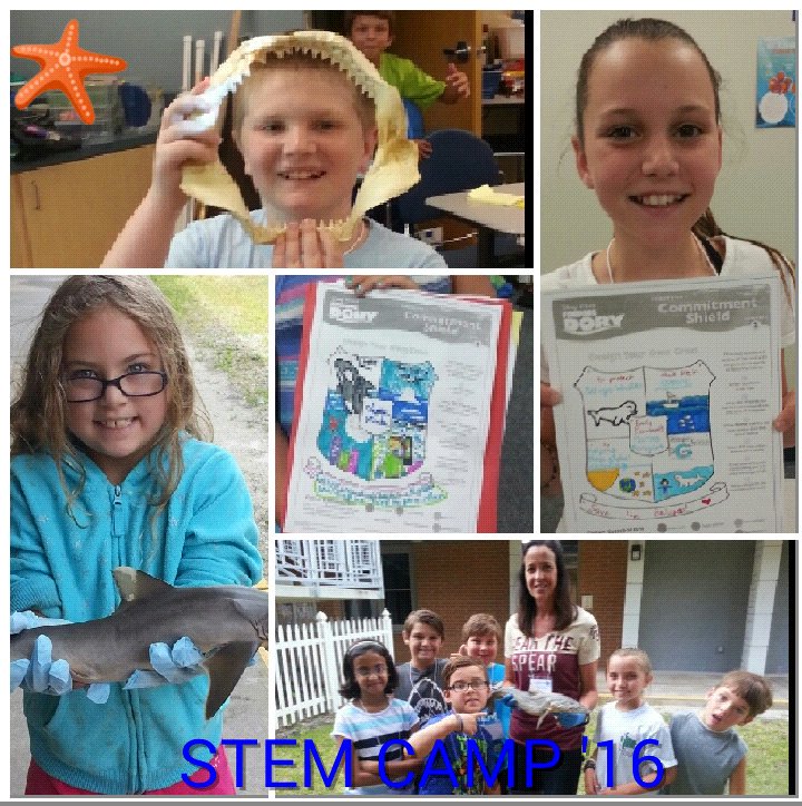 NancyDow1's tweet photo. Stimulation, Education, Conservation! #SharkDay #STEMCAMP2016 @GCSC1957 https://t.co/ghRRTTboBL