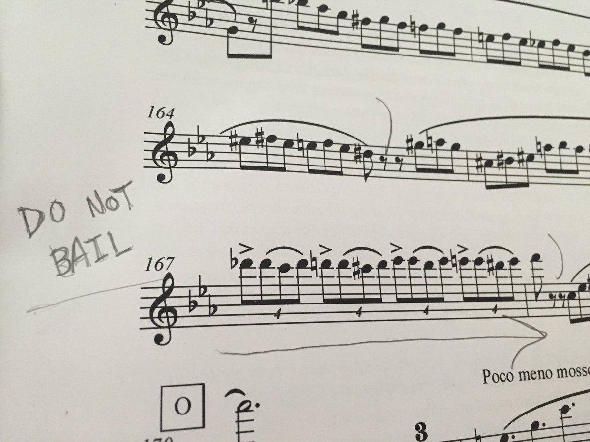 susansummers24's tweet image. Do not bail. Got for it 110%. #WednesdayWisdom via #practicetweets 👊🏼💁