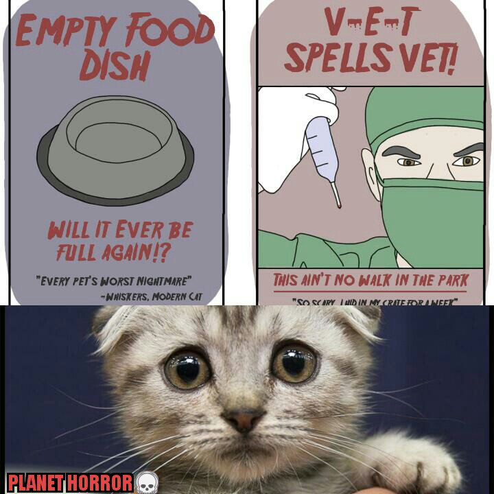 PLANET HORROR (@planethorrorhse) on Twitter photo 