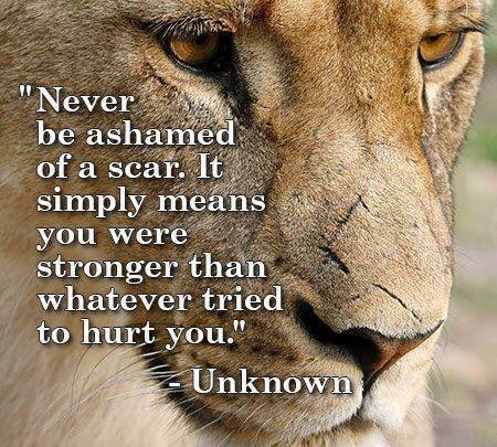 thejtimothy's tweet photo. Never forget this!  https://t.co/RT1pC199uz https://t.co/v6grmVdUqQ