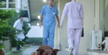 This is an incredible PSA from Argentina about an elderly man &amp; his faithful dog. orv.is/29Sv1Bw #dogs