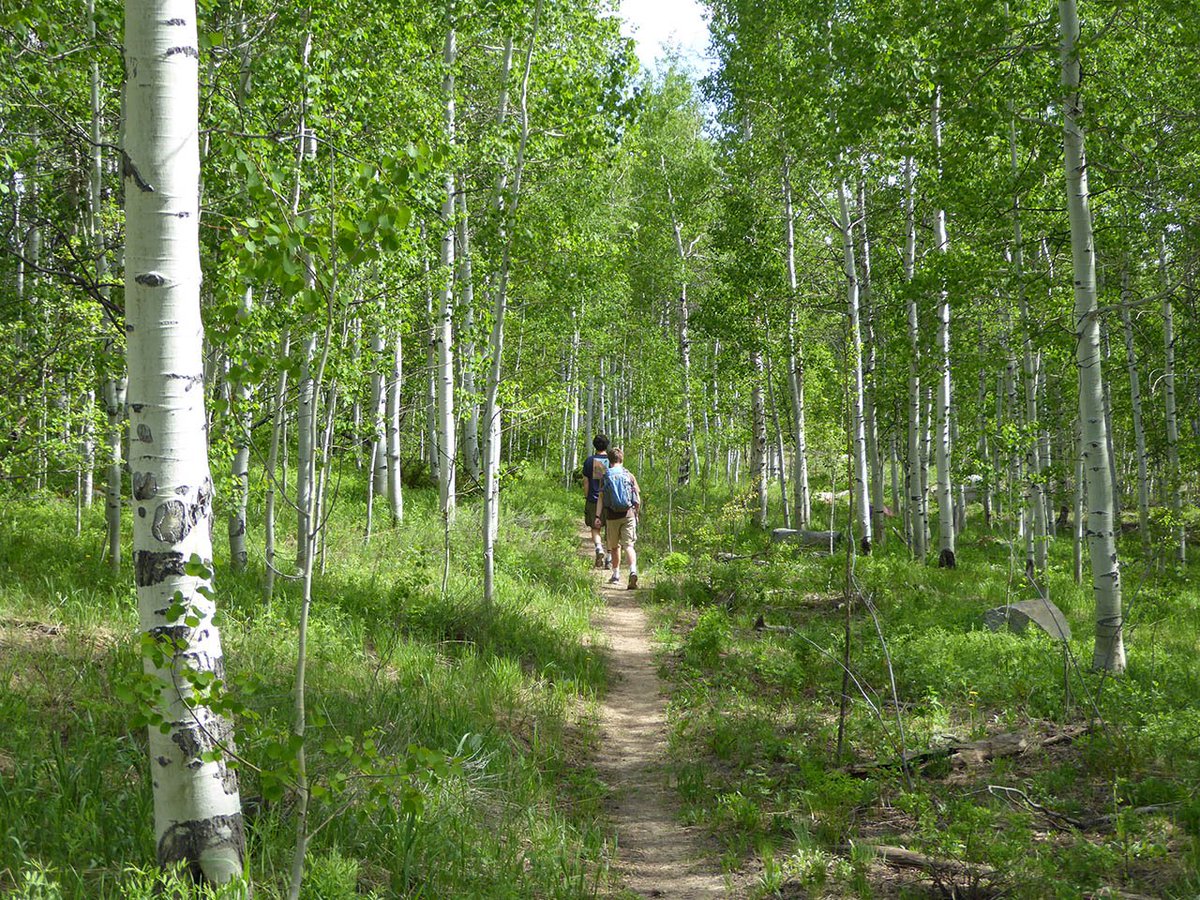 ColoTravelGal's tweet photo. Looking for a great hike in the #aspen area? Try the Smuggler Mountain Loop! https://t.co/a4MNnP2wcR https://t.co/K06yHUIasi