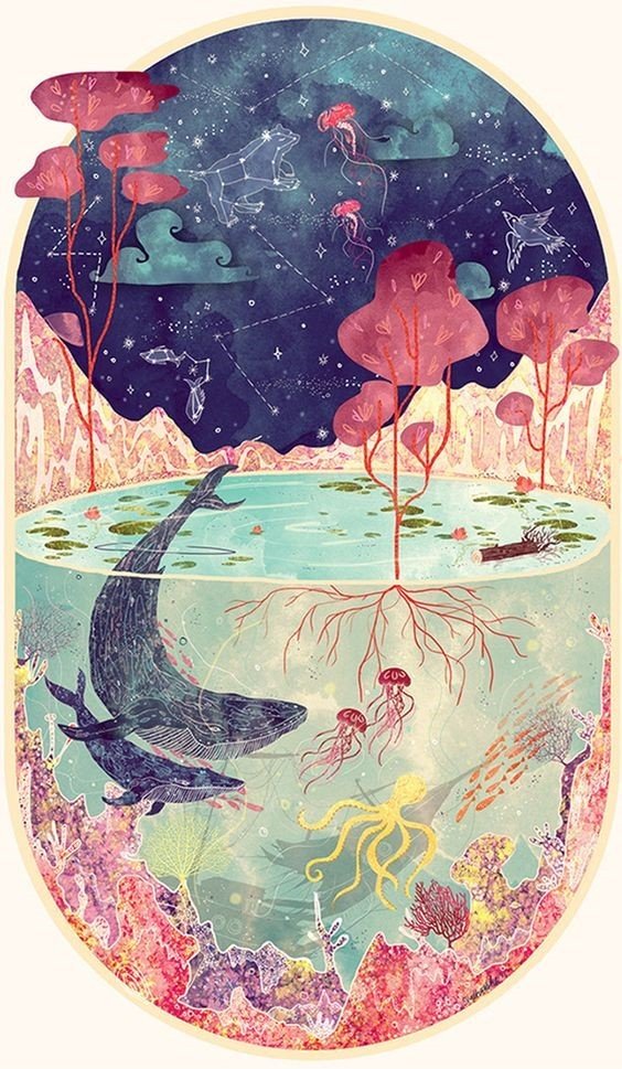 RigorMortis1989's tweet photo. Lovely #nature #animals #earth #the_universe #cosmos https://t.co/XdSvhdRBZX
