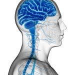 essmctherapy's tweet photo. Exercise: the best medicine for beating back Dementia. https://t.co/HF4U8vDrHe #alterG #ESSMC #physicaltherapy https://t.co/HhNdMMhe4o