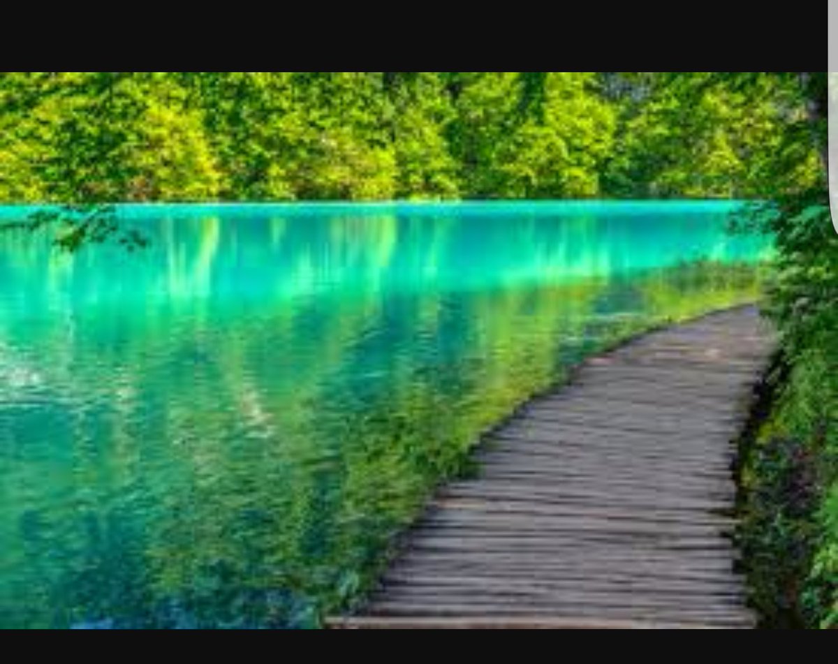 PictureEurope's tweet photo. Plitvice Lakes National park, Croatia 😍

World famous for its lakes,Caves and Amazing Waterfalls! https://t.co/EyyokcYbKe