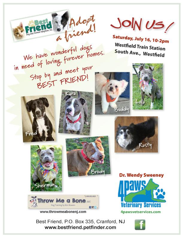 GWACC_NJ's tweet image. Dog Adoption Day at the Westfield  Farmers Market Saturday 7/16 conta.cc/29XWVPe