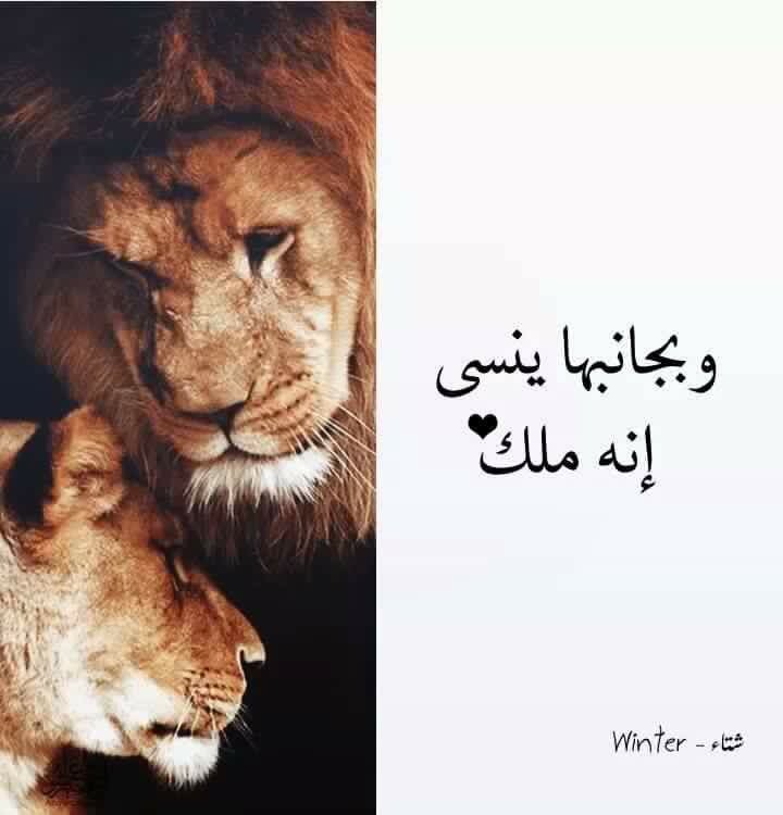 فدوه