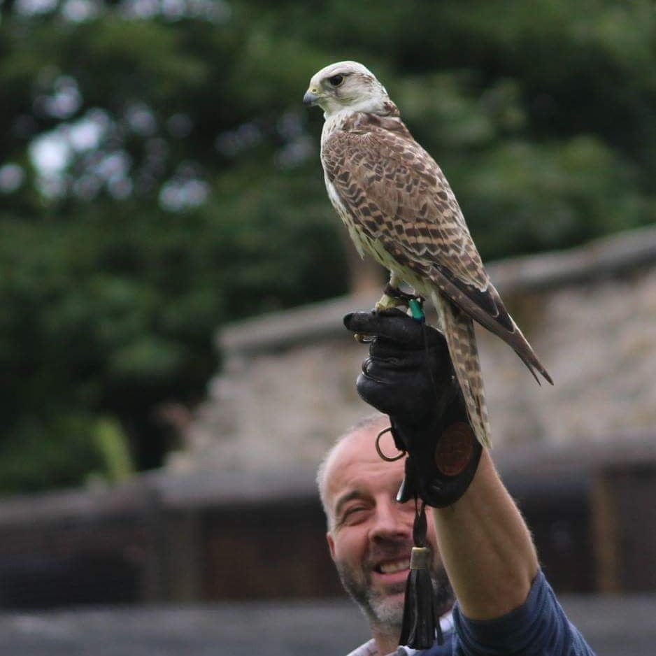 WalworthBirdsOP's tweet photo. Someone must have seen him.  Try to get a photo #findtom #gettomhome https://t.co/B52b0scFf5