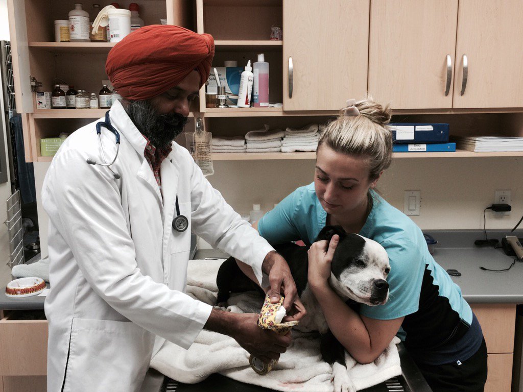 iaff2864's tweet photo. Thank you Dr.Mundi for your care for Bella. She is recovering, with assistance from IAFF Local 2864 Fire Fighters. https://t.co/wMgIch6tzt