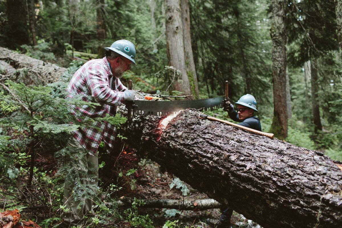 Trail maintenance w/ <a href="/PCTAssociation/">Pacific Crest Trail Association</a> a few weeks ago. Can't get over how rewarding + fun it was. Join us next time!