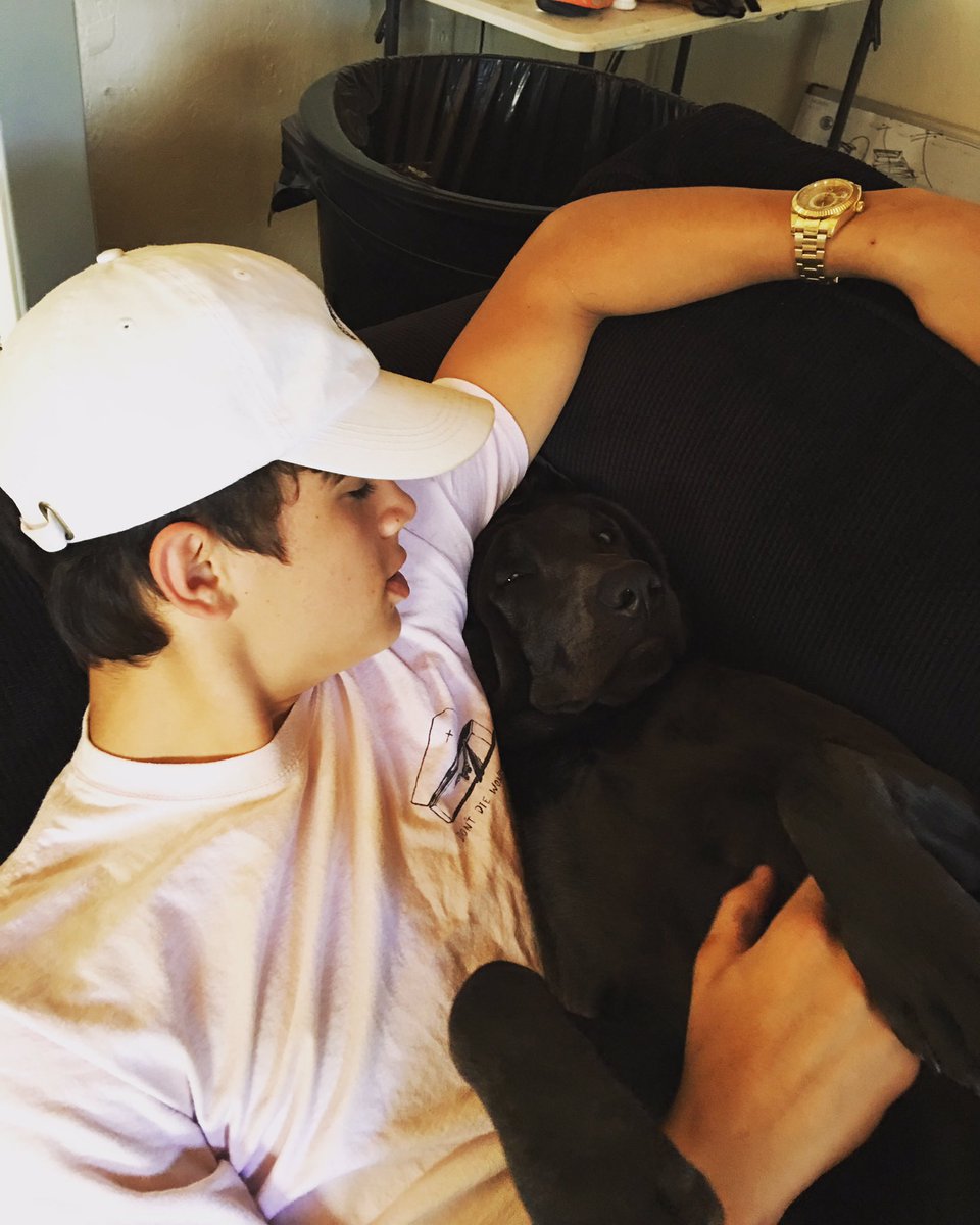 HayesGrier's tweet image. he blends in with the couch haha