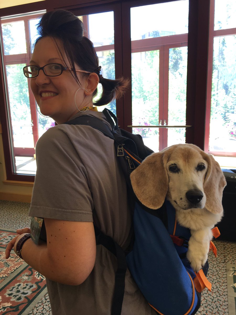 annemariewrites's tweet photo. Just #TeamBrody and me working at the #ATDC2016 conference. I'm a pack mule. ๐๐๐ #bighairdontcare https://t.co/dCQRRQs886