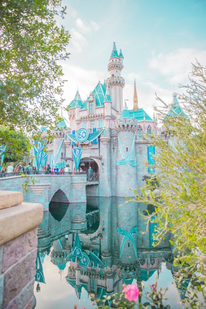 JWJasea's tweet photo. 1 week until the official launch of our website! https://t.co/tQev1Sn1Q2 Subscribe today! #Disney #TravelBlog https://t.co/kk0CDBzUbZ